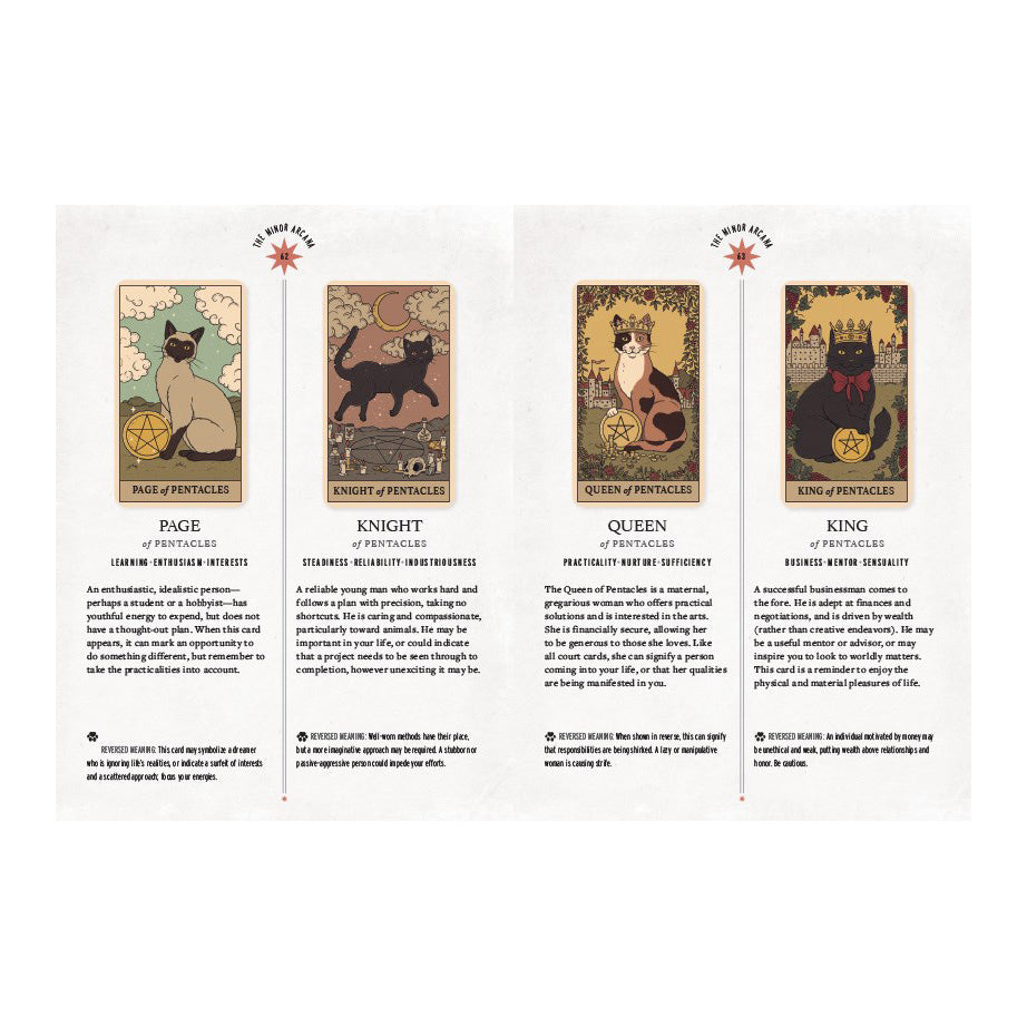 Cats Rule the Earth Tarot