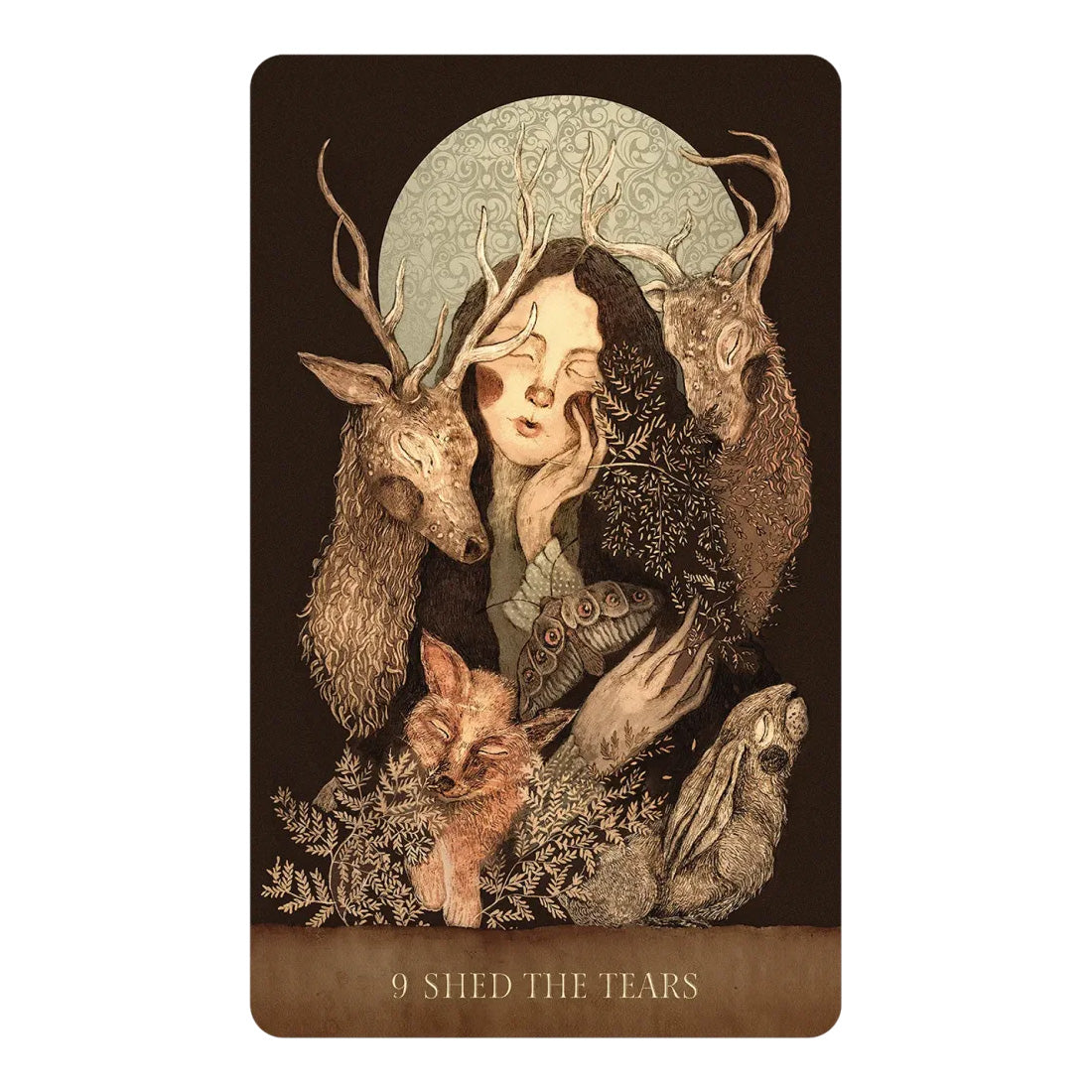 Dream Song Oracle