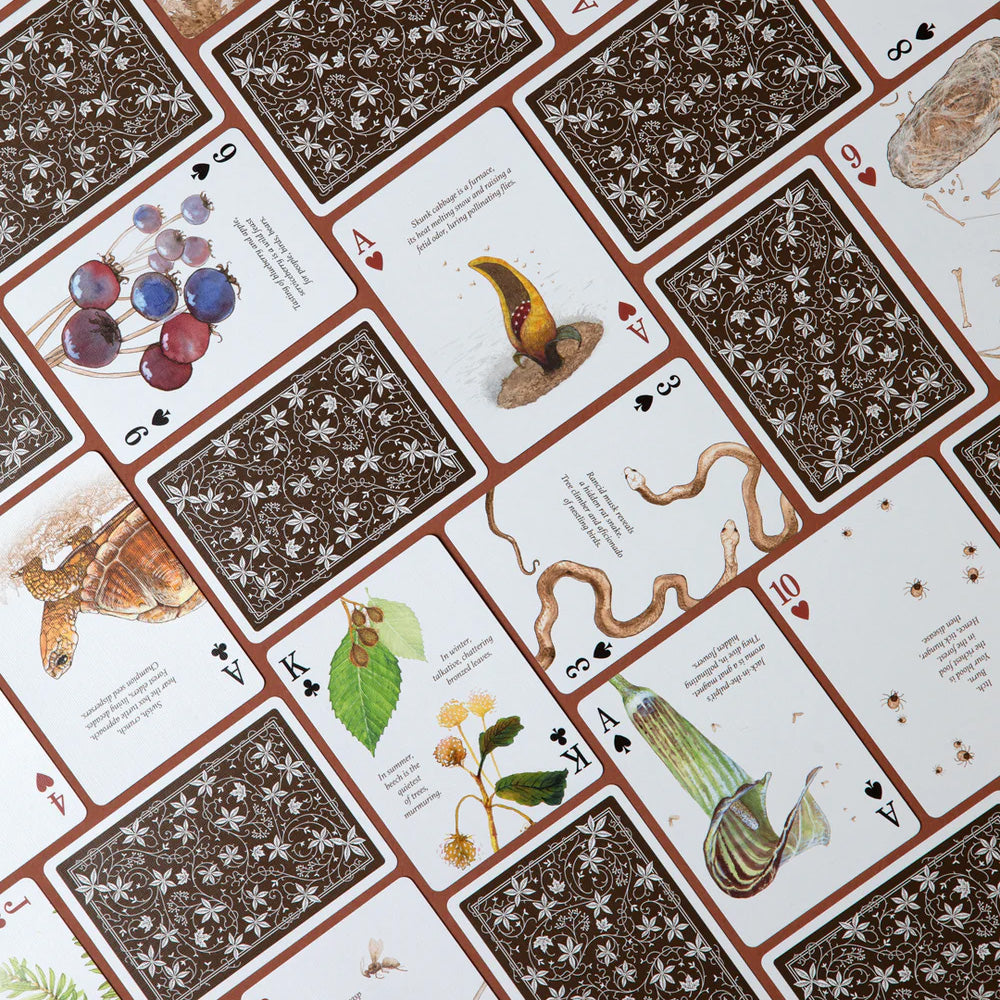 Eastern Forest Playing Cards
