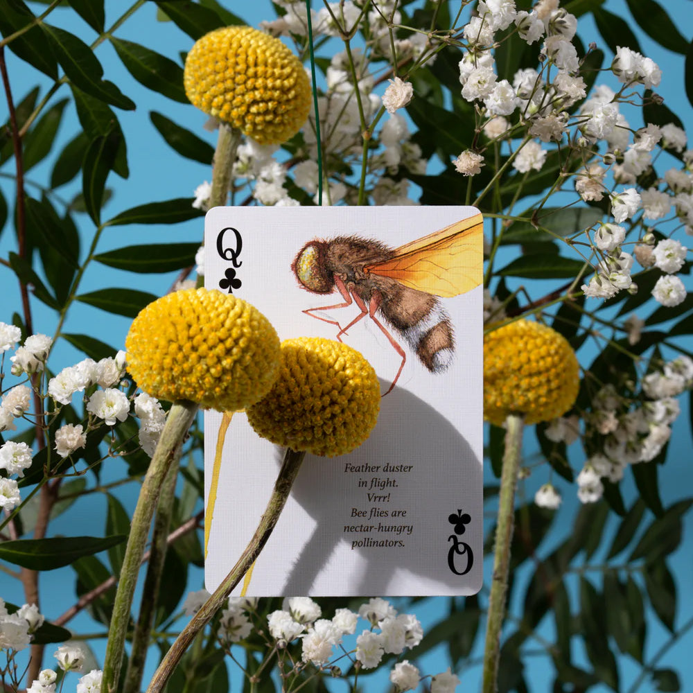 Eastern Forest Playing Cards