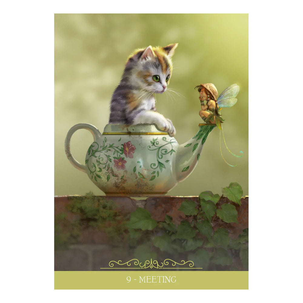 Fantasy Cats Oracle by Paolo Barbieri