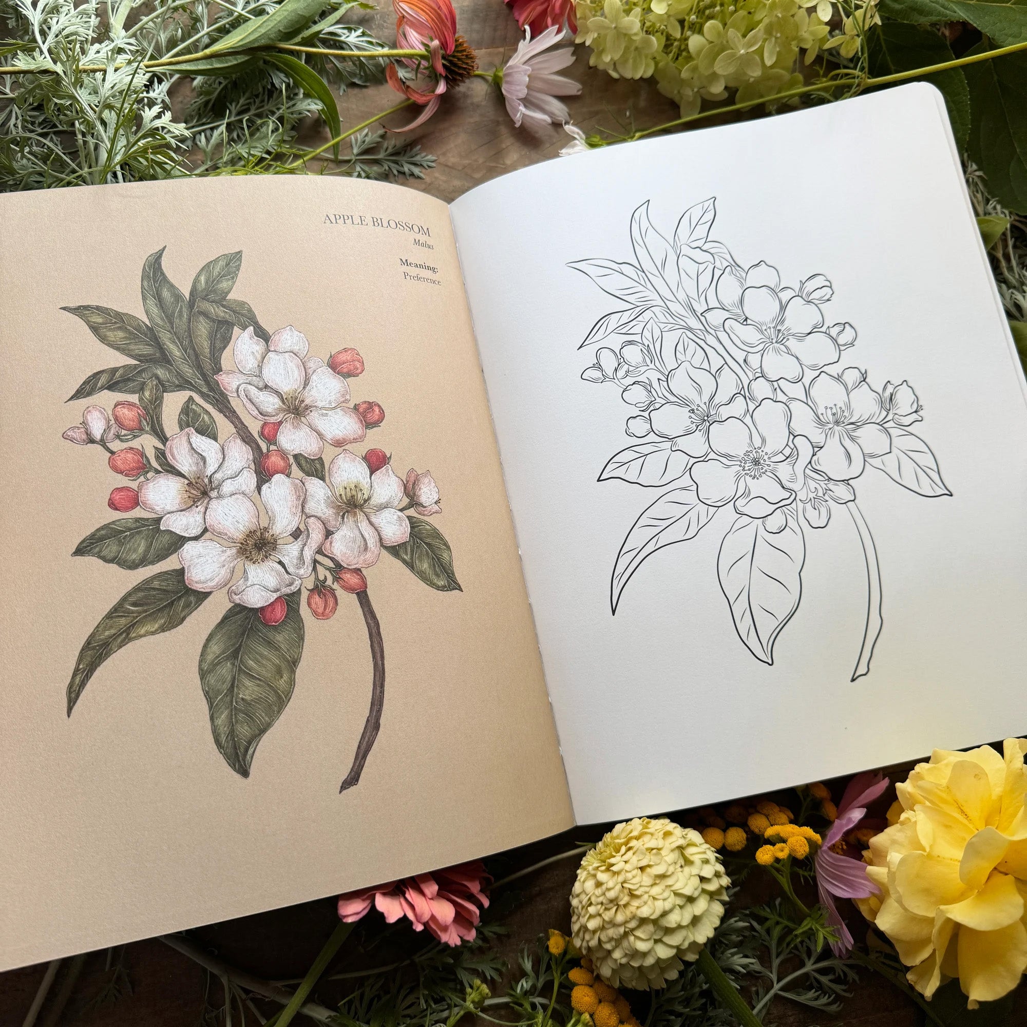 Floriography Coloring Book