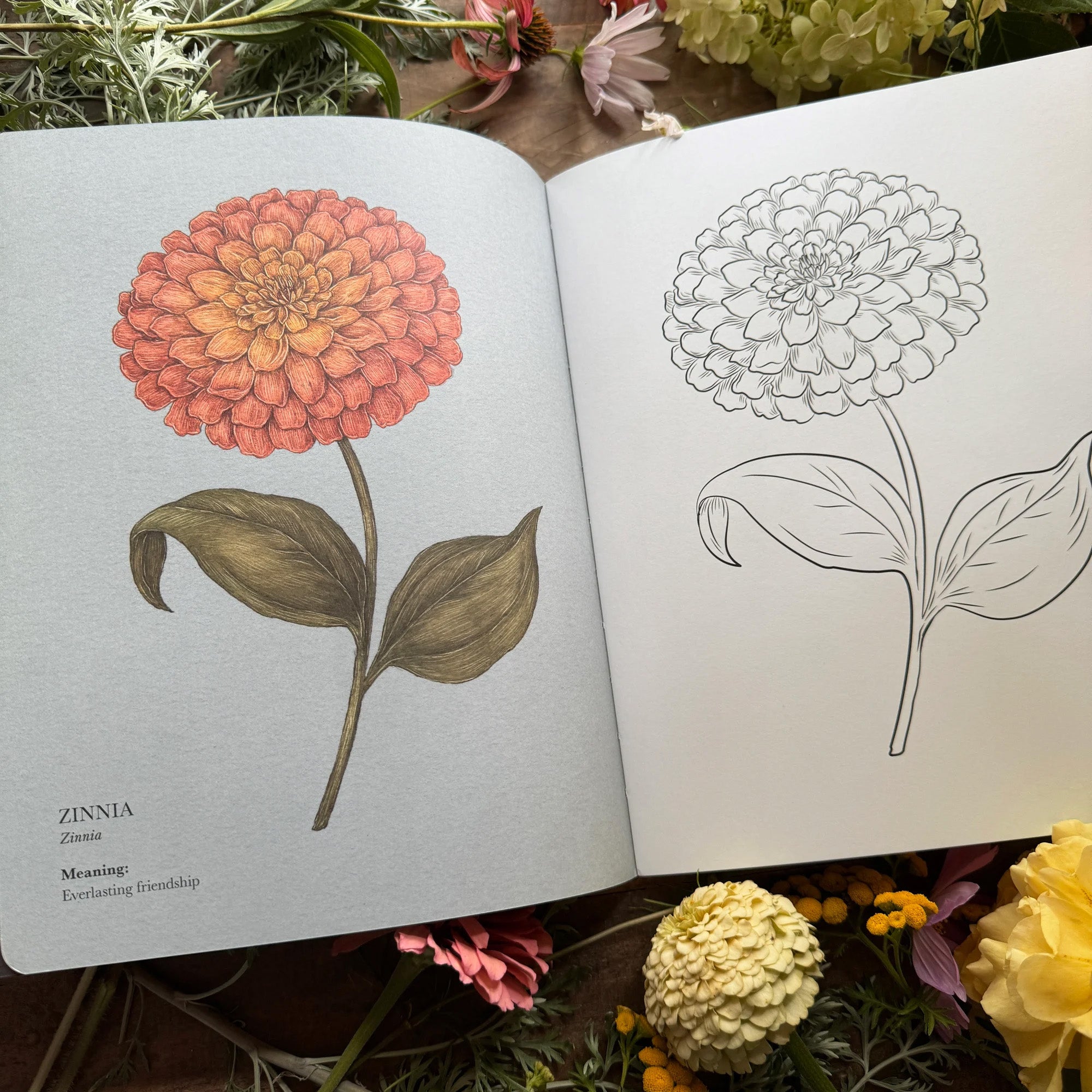Floriography Coloring Book