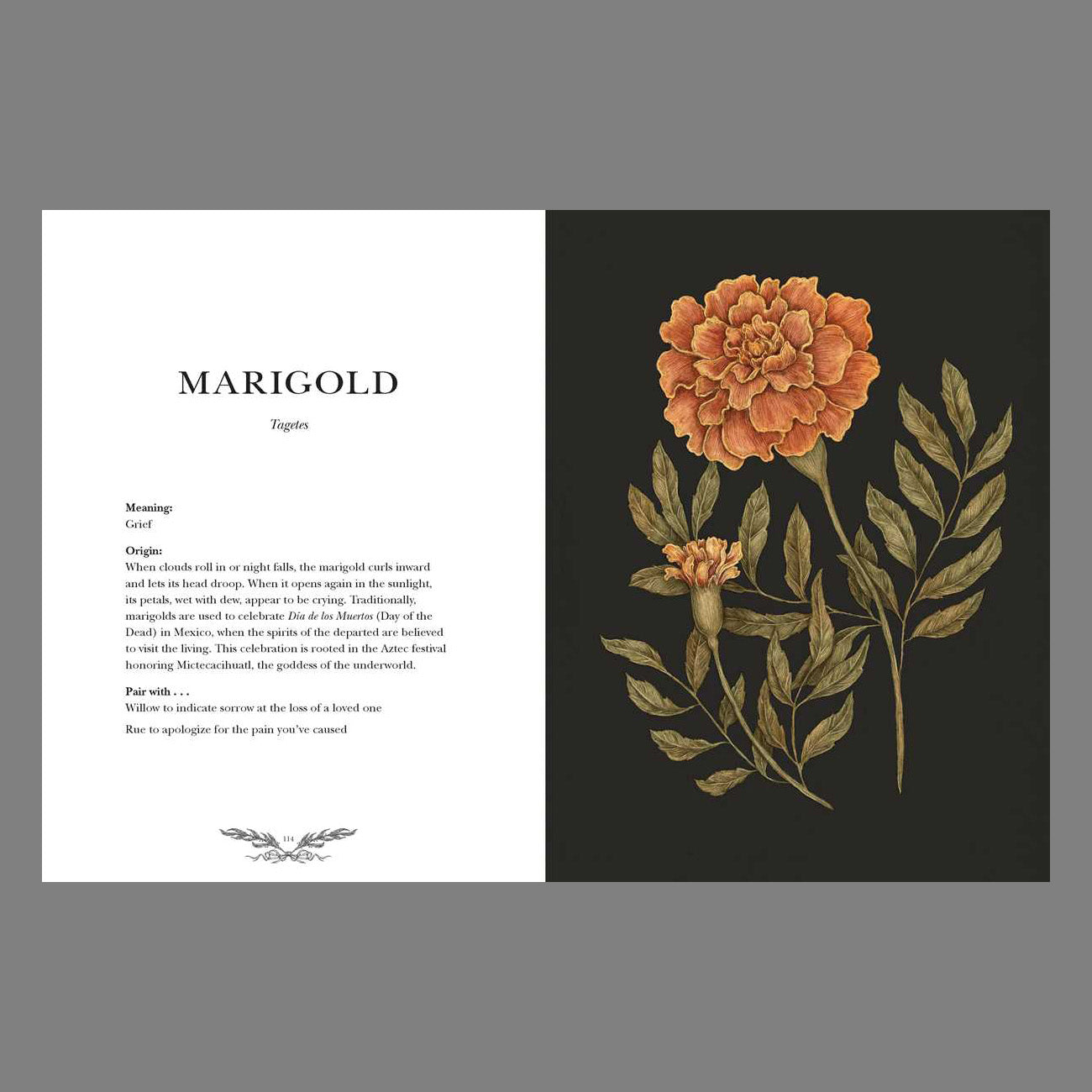 Floriography