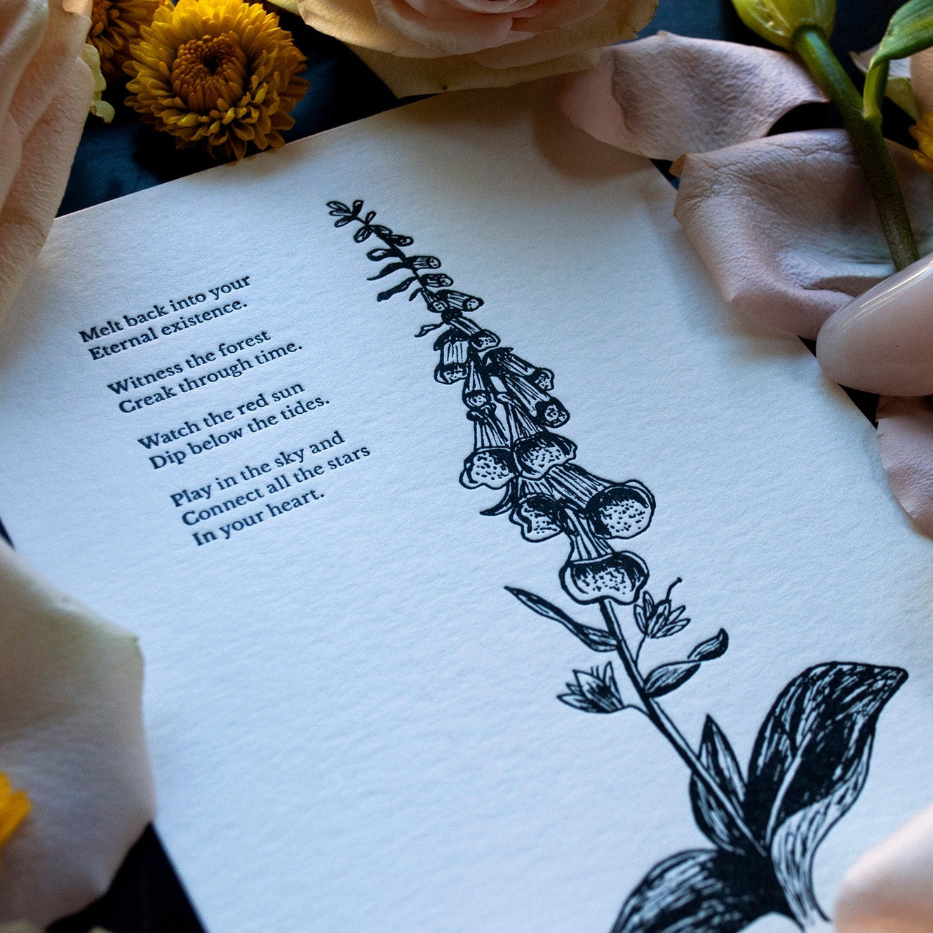 Foxglove Botanical Letterpress Print