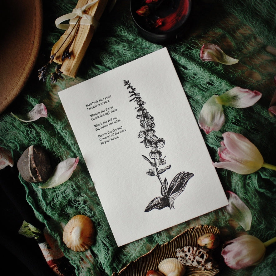 Foxglove Botanical Letterpress Print