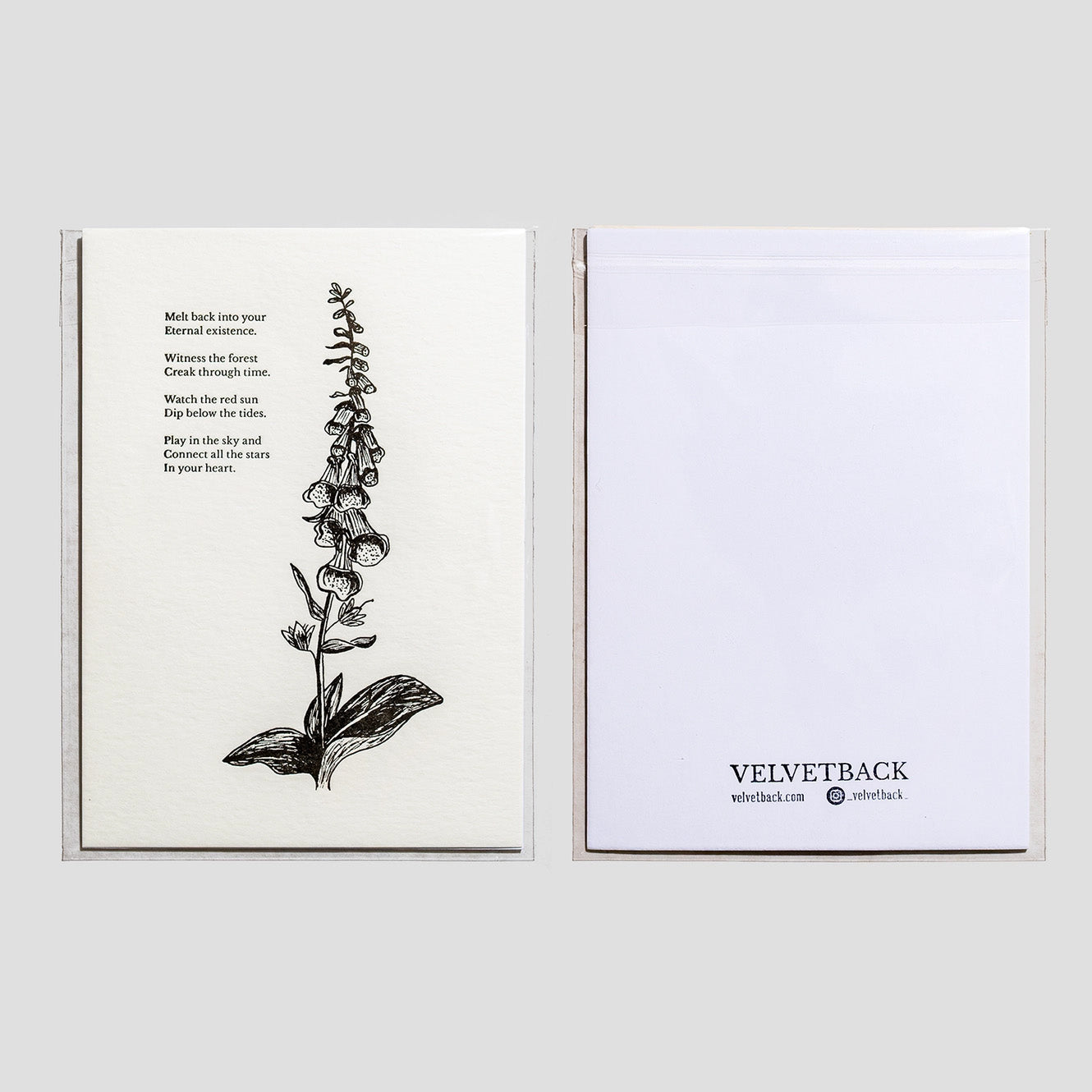Foxglove Botanical Letterpress Print