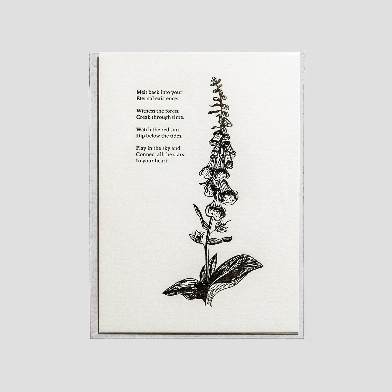 Foxglove Botanical Letterpress Print