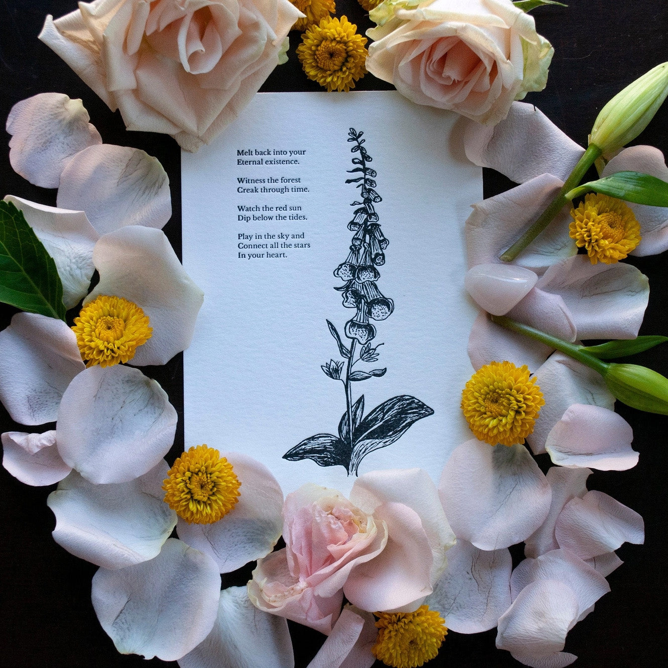 Foxglove Botanical Letterpress Print