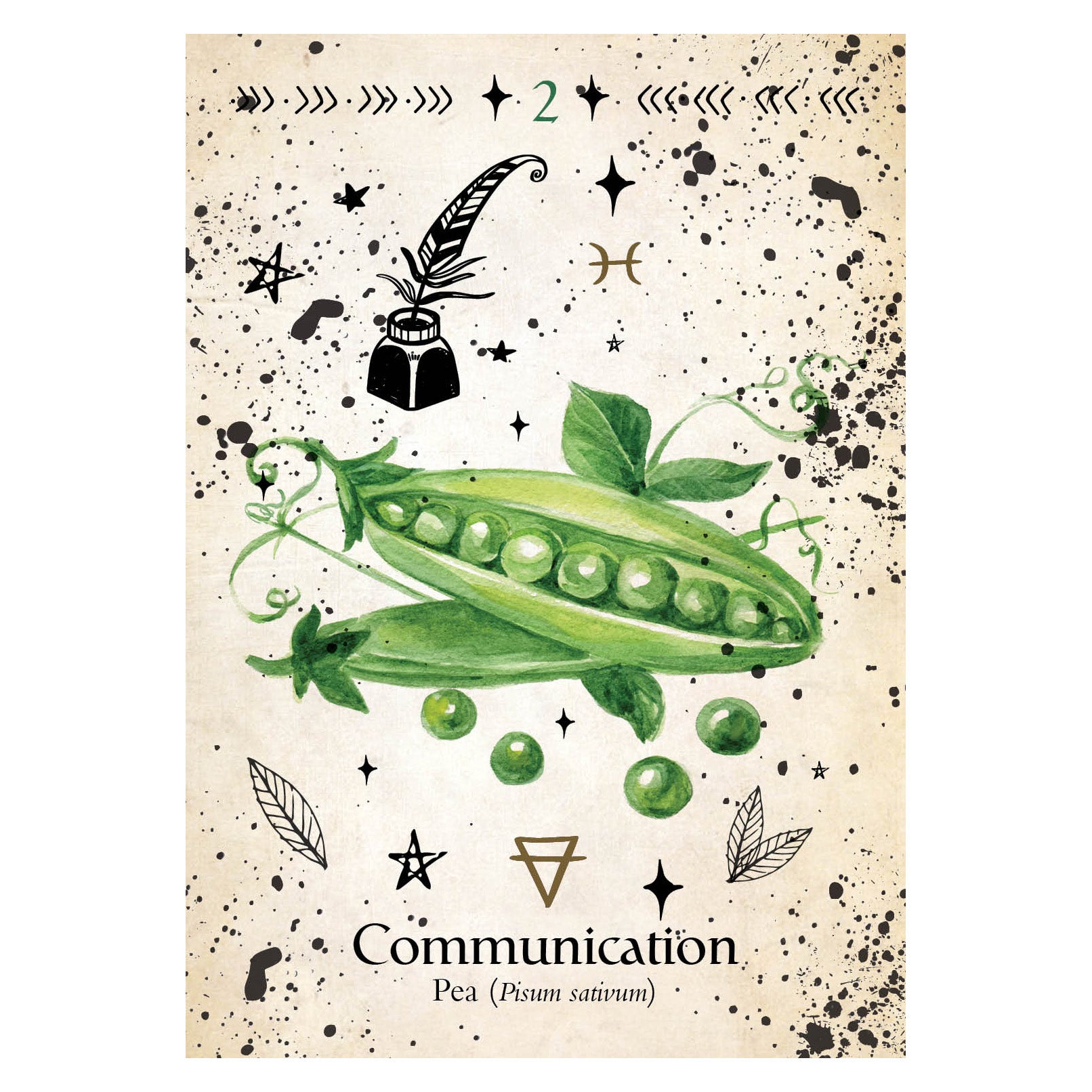 Green Witch Oracle Cards