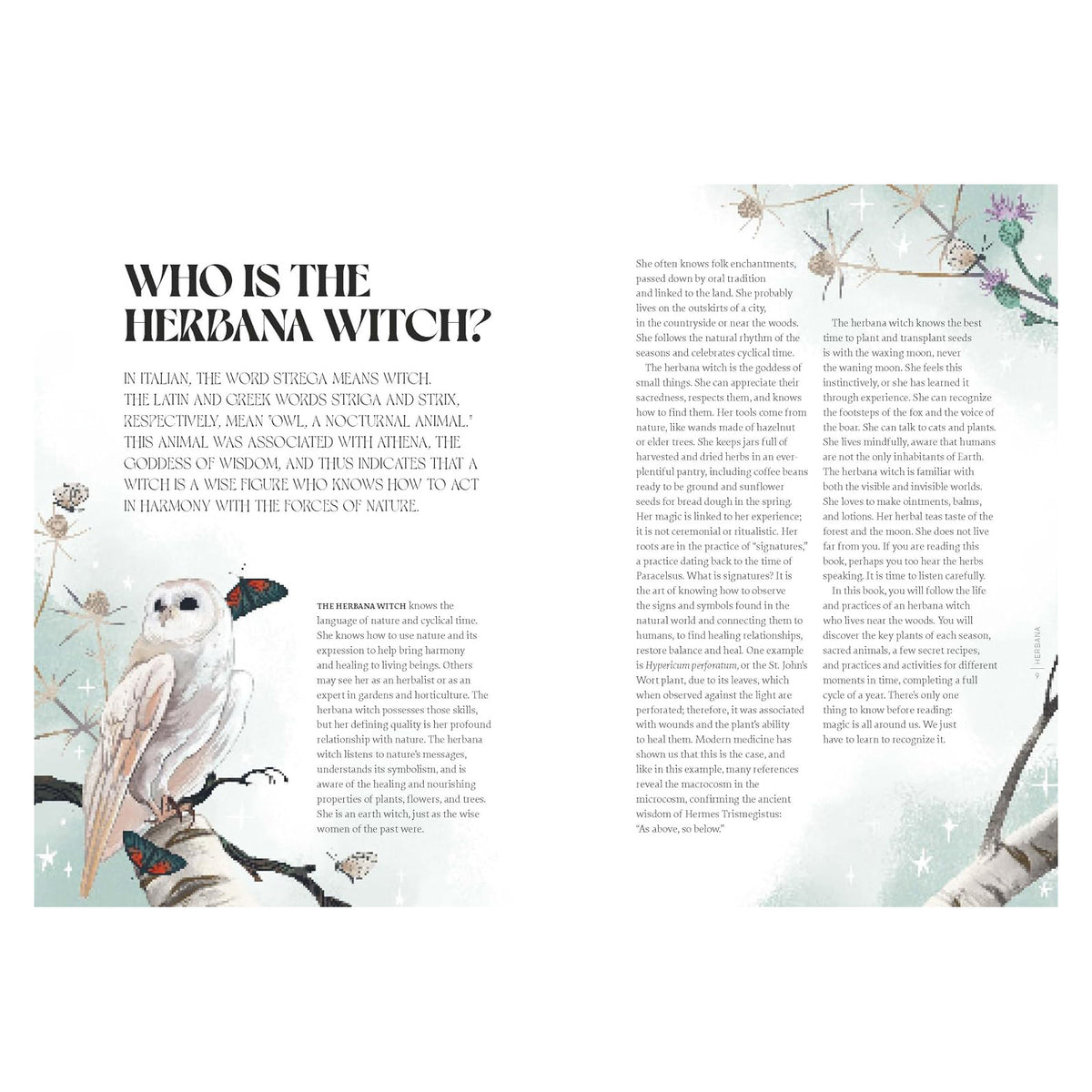Herbana Witch