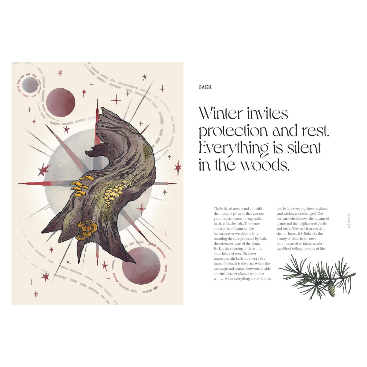 Herbana Witch