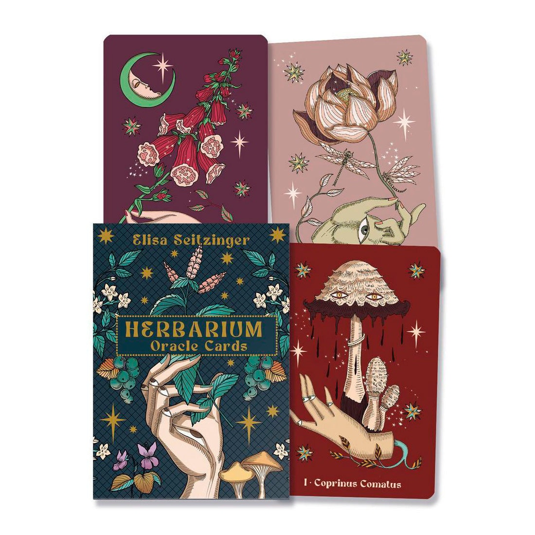 Herbarium Oracle
