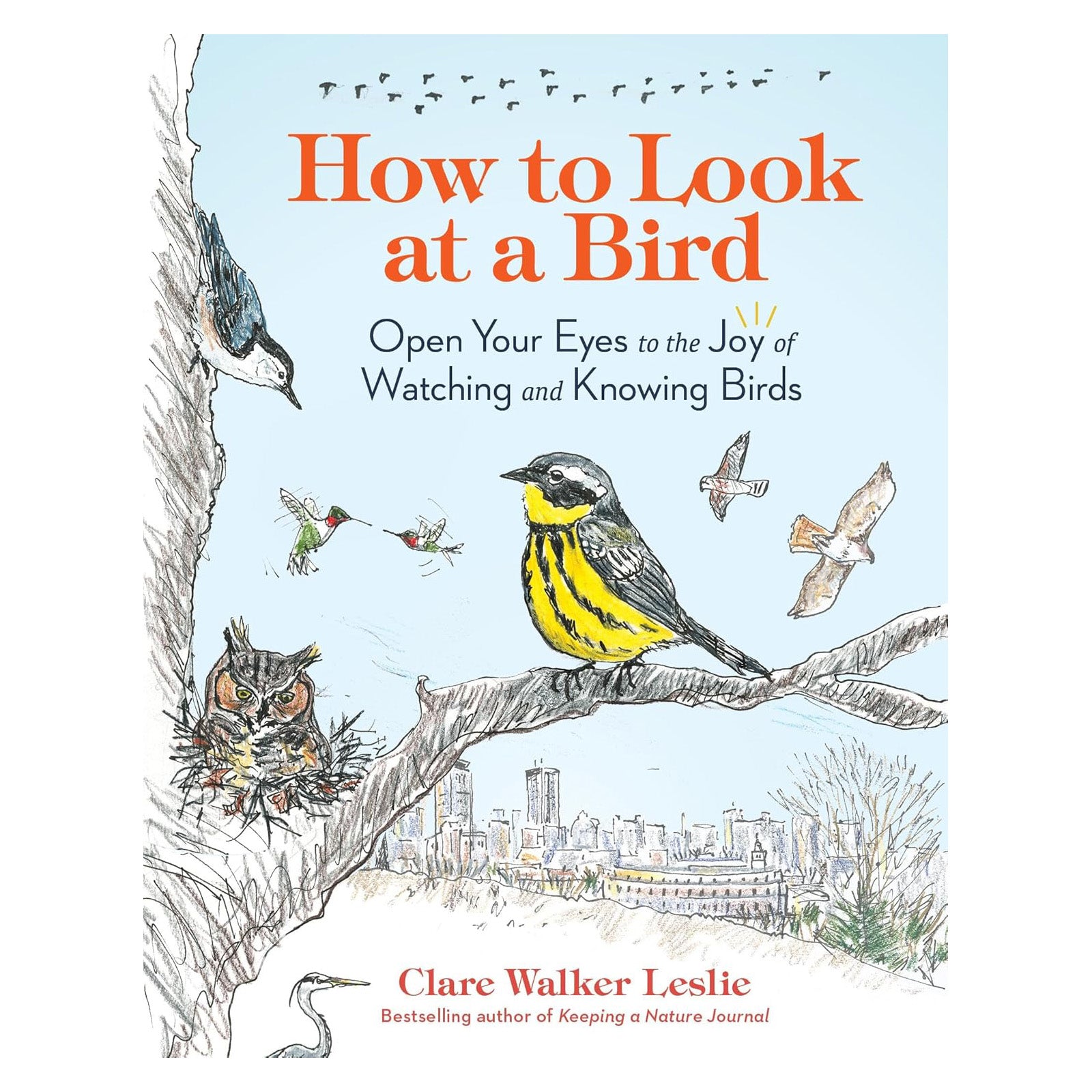 How to Look at a Bird