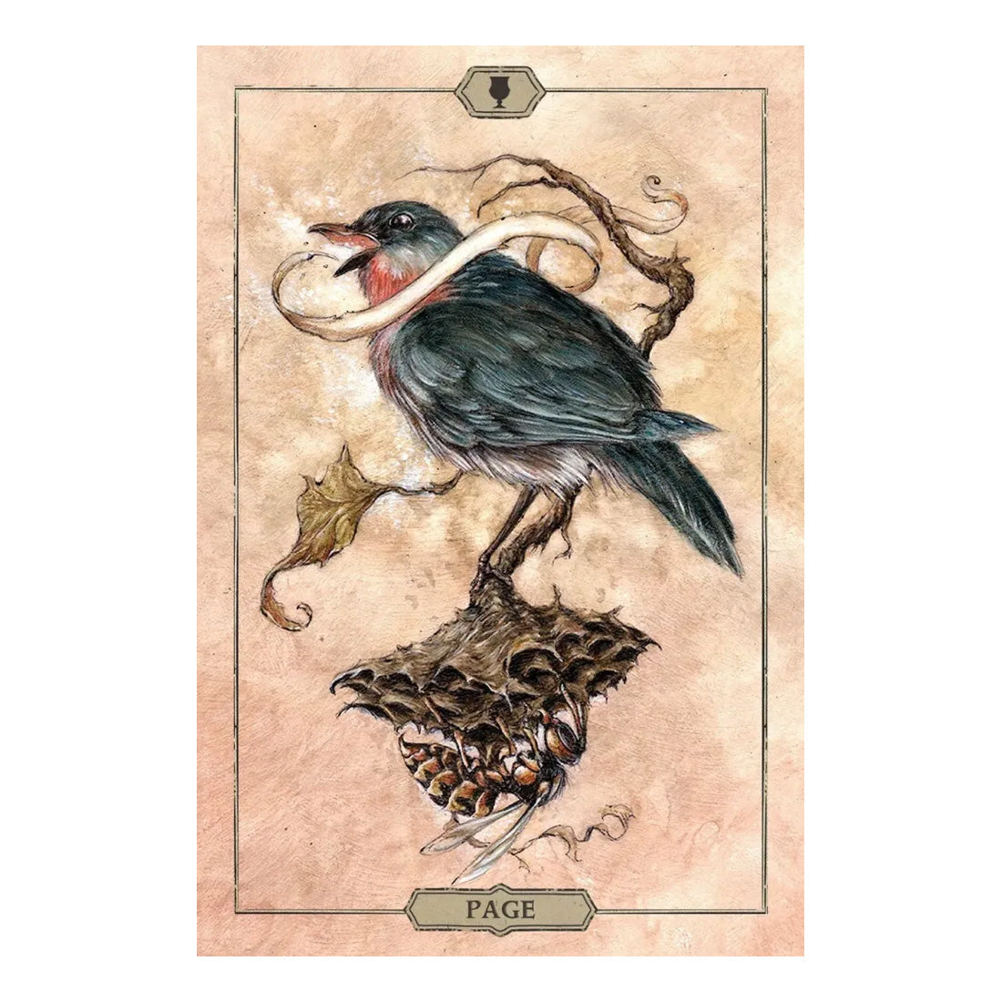 Hush Tarot