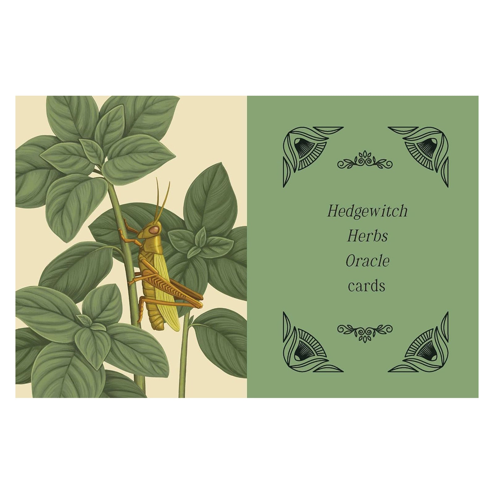 Kate Forsyth's Hedgewitch Oracle