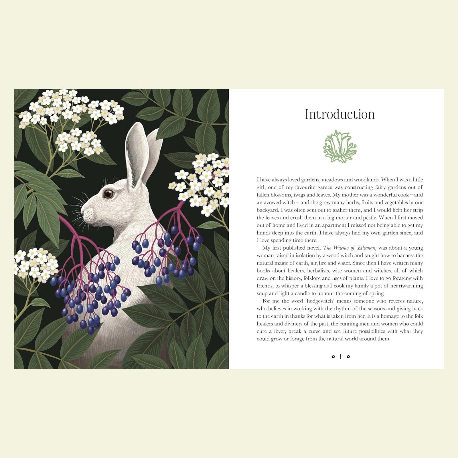 Kate Forsyth's Hedgewitch Oracle