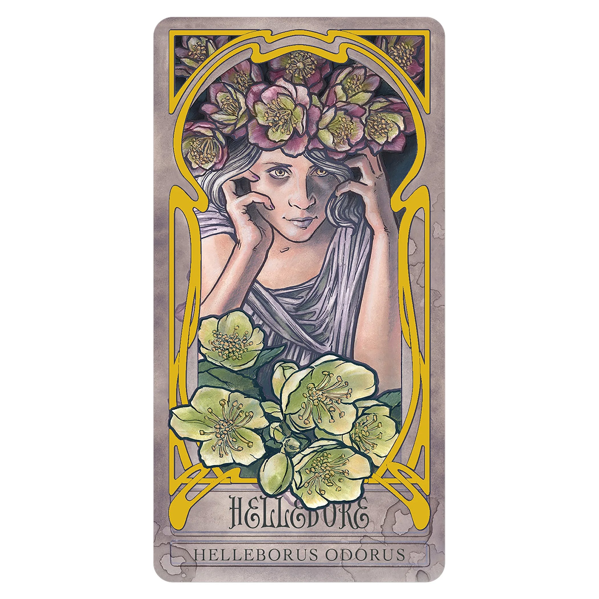 Lady Stirling's Wicked Garden Oracle Deck