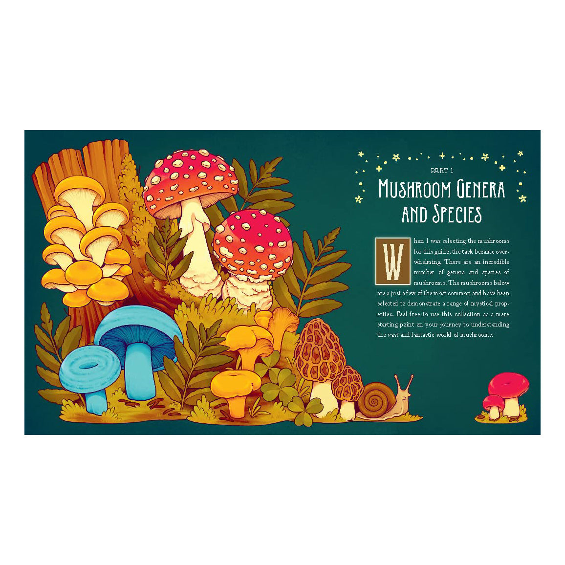 Mushroom Magick