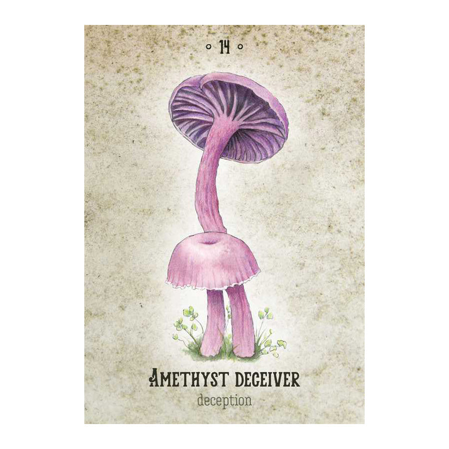Mushroom Spirit Oracle