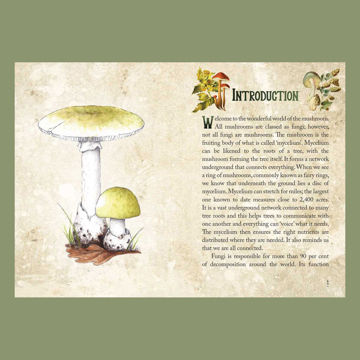 Mushroom Spirit Oracle