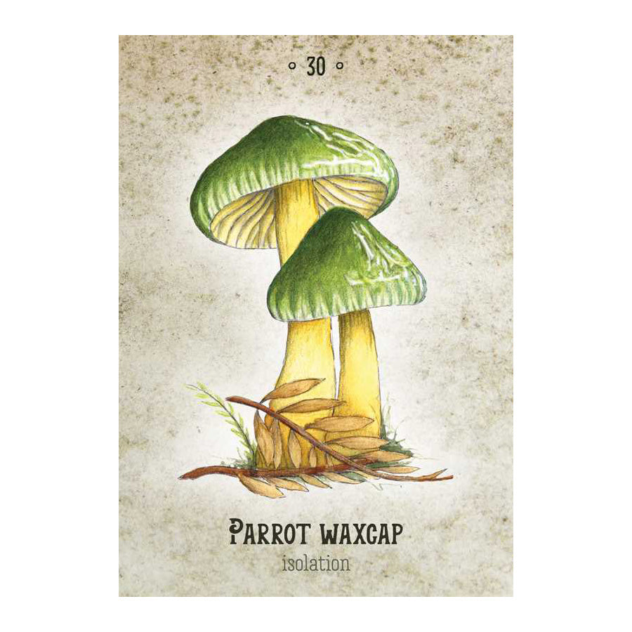 Mushroom Spirit Oracle