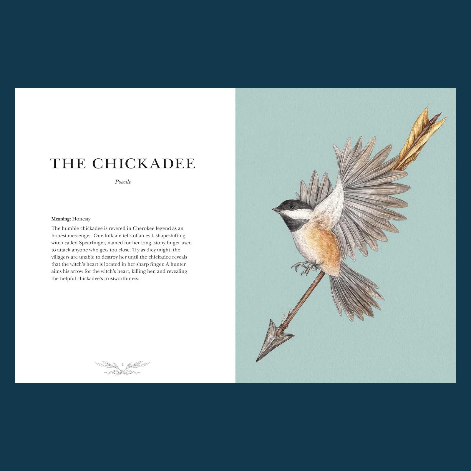 Ornithography