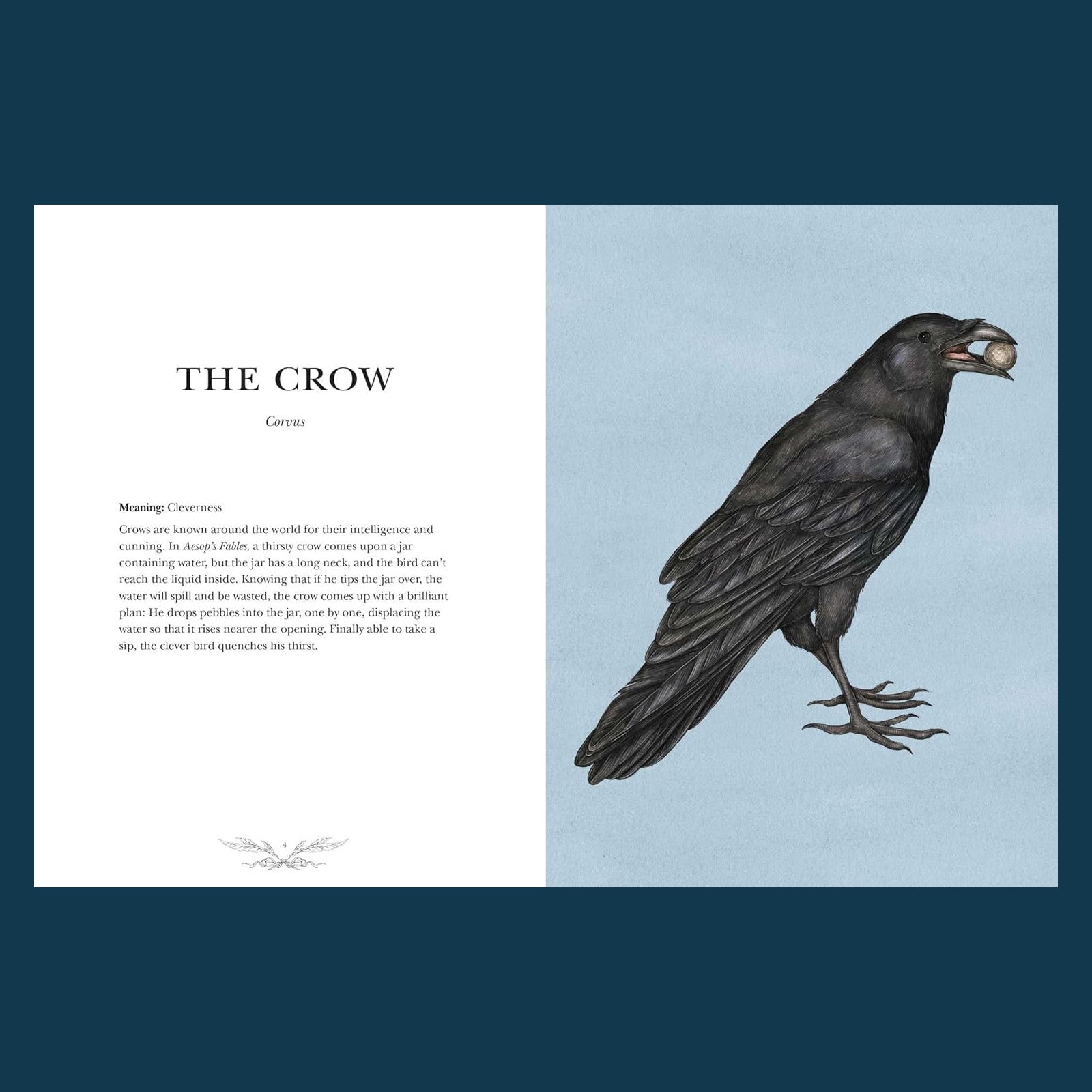 Ornithography