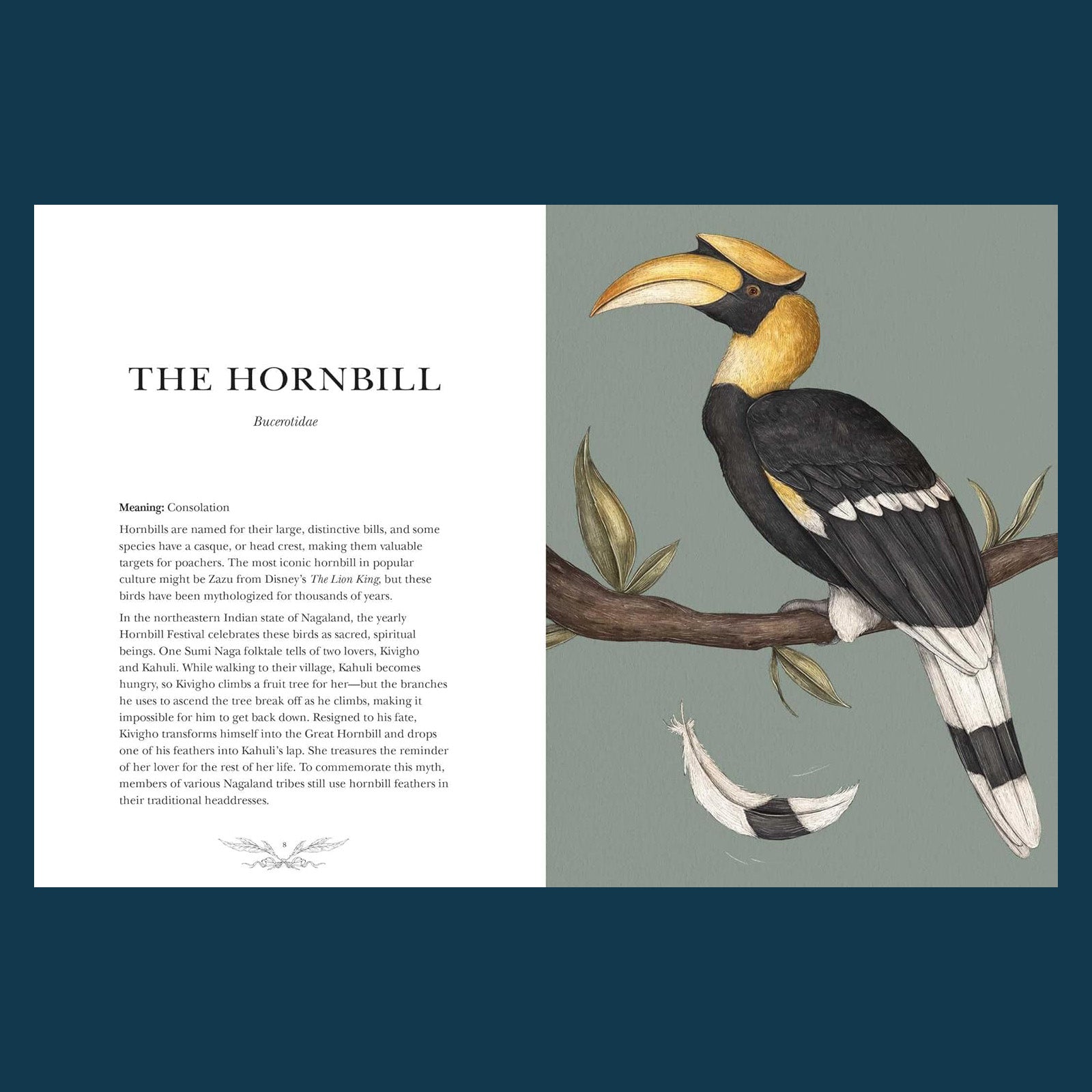 Ornithography