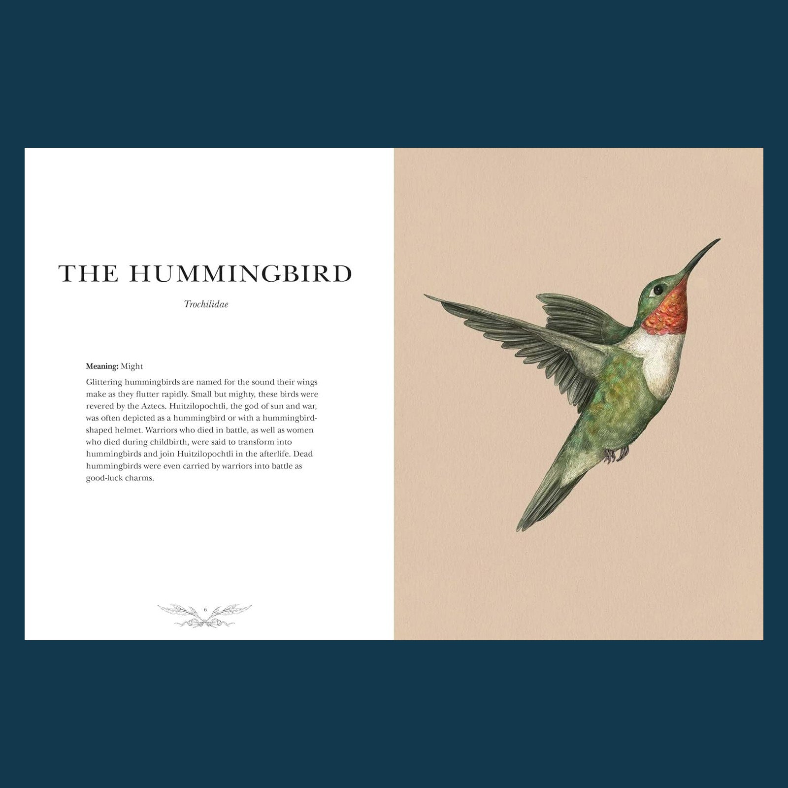 Ornithography