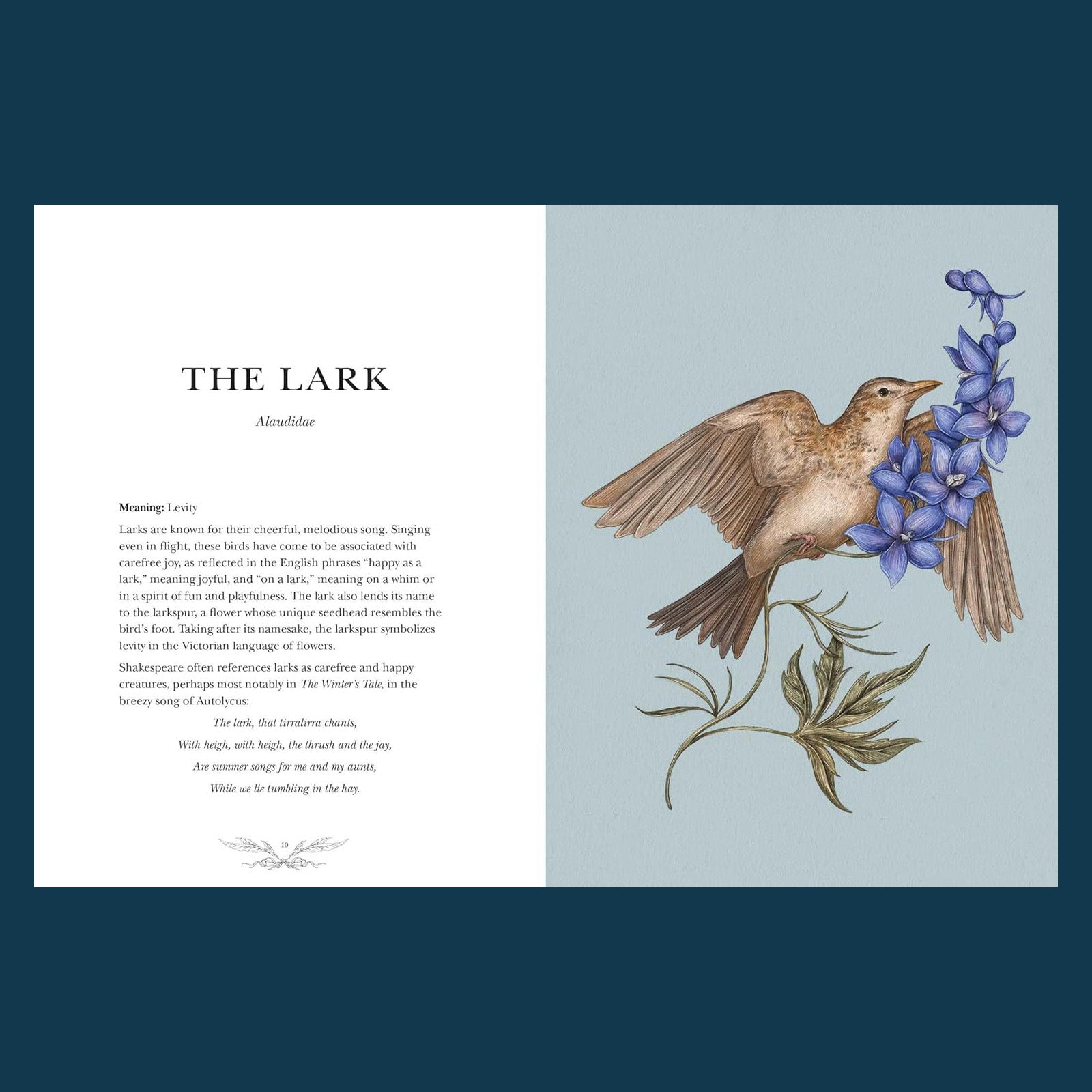 Ornithography