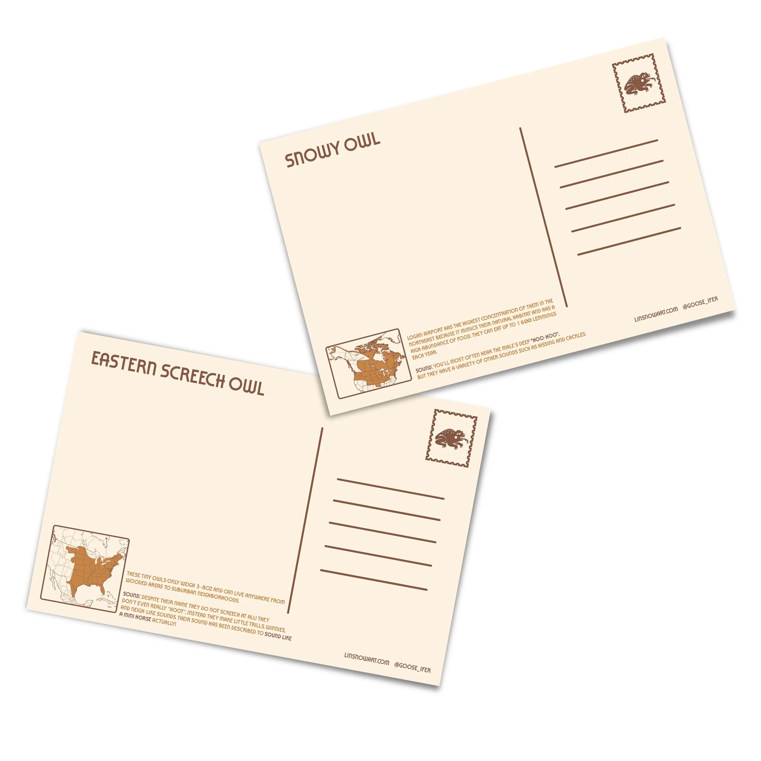 Owls of North America Postcard Pack