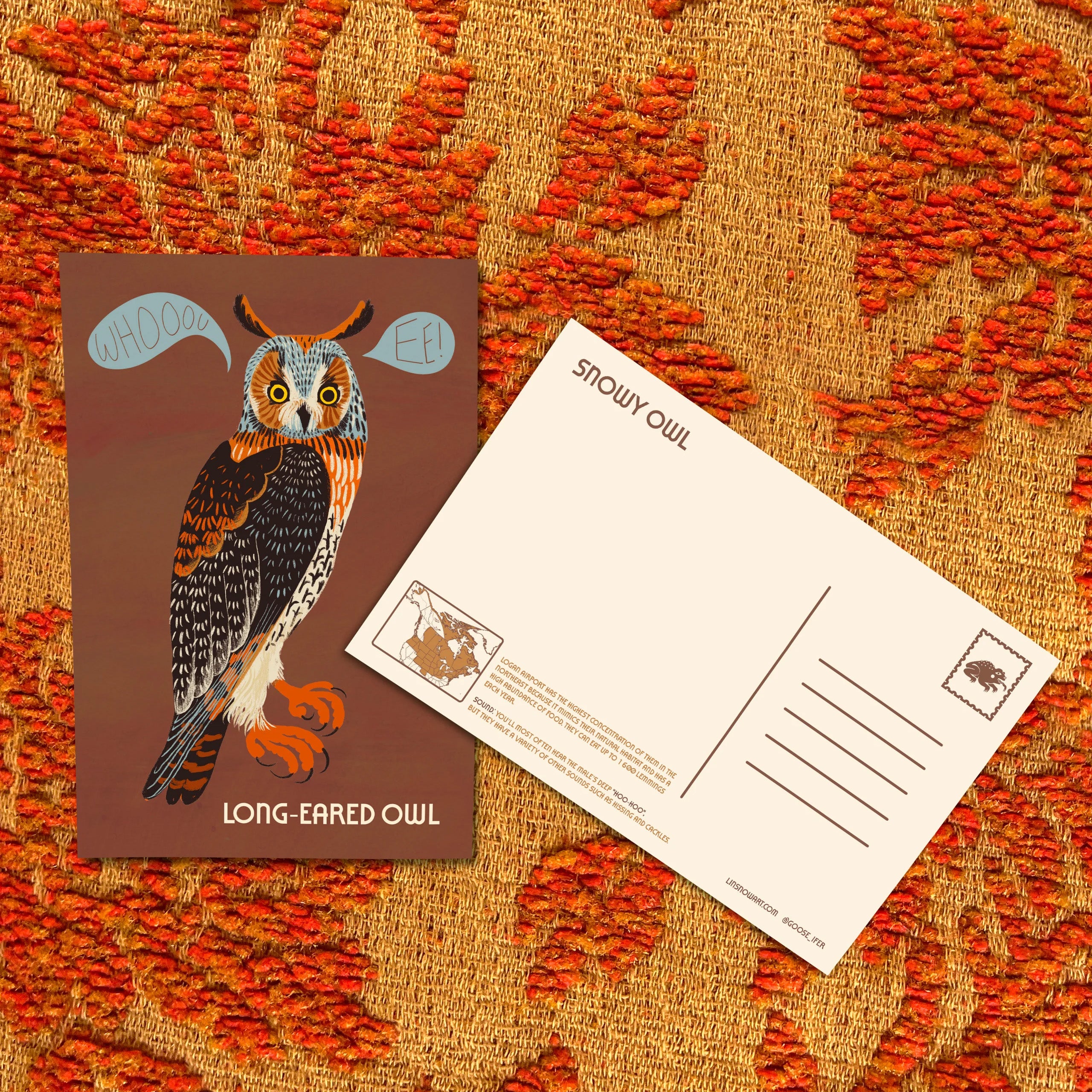 Owls of North America Postcard Pack