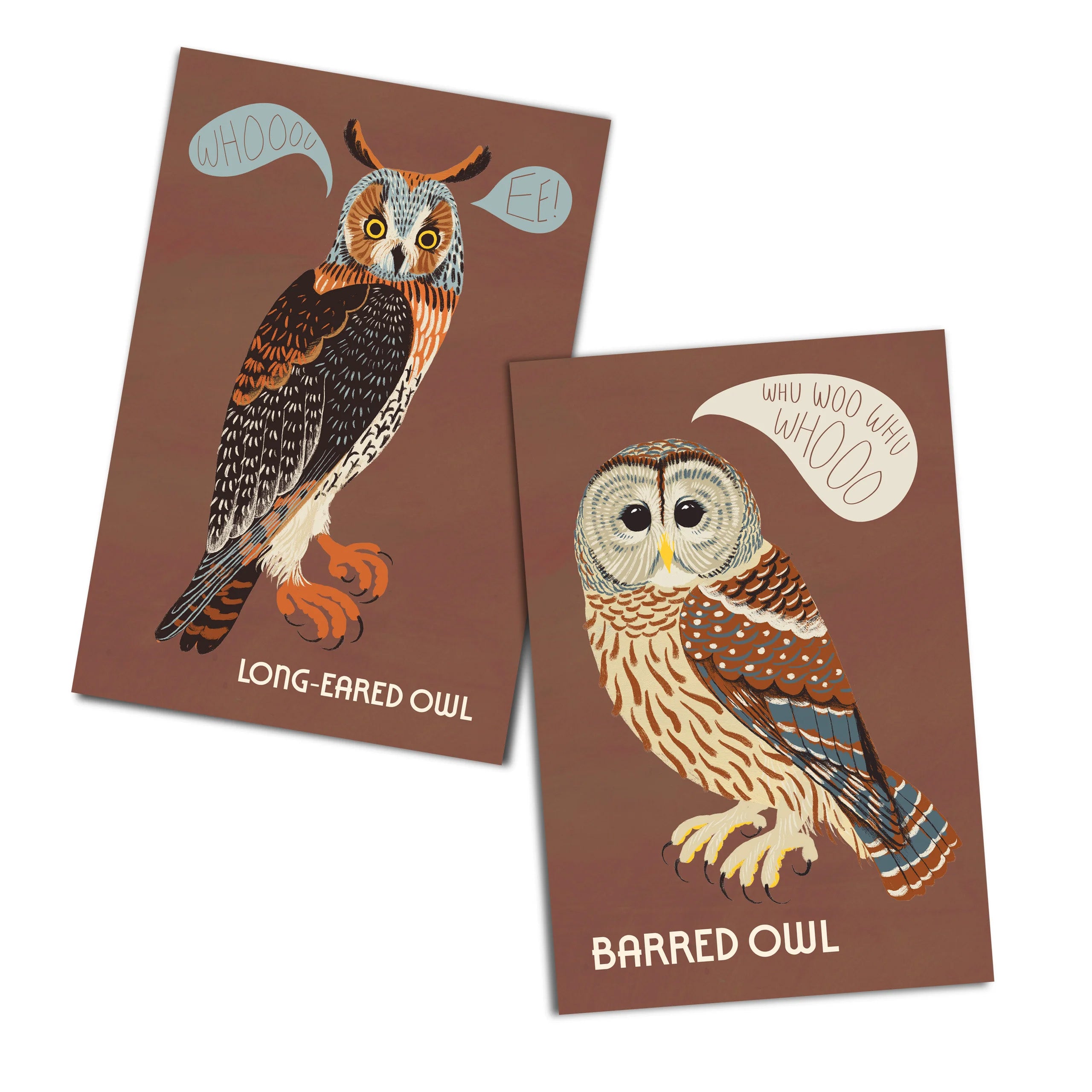 Owls of North America Postcard Pack