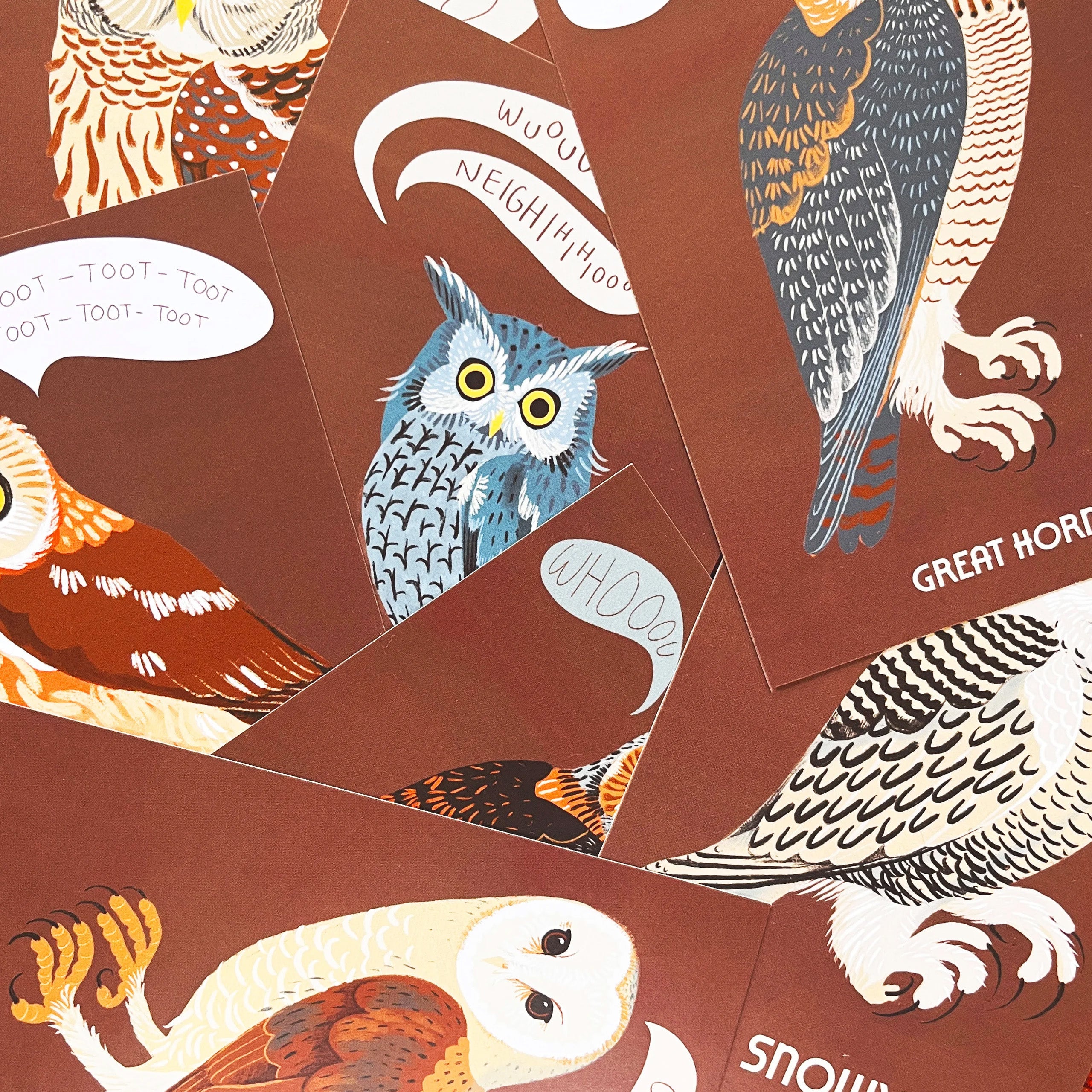 Owls of North America Postcard Pack