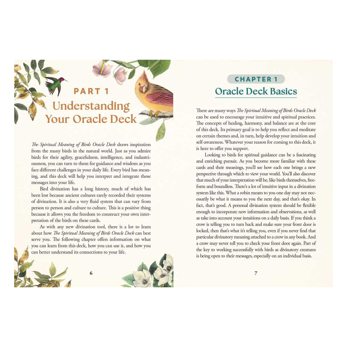 Spiritual Meaning of Birds Oracle Deck