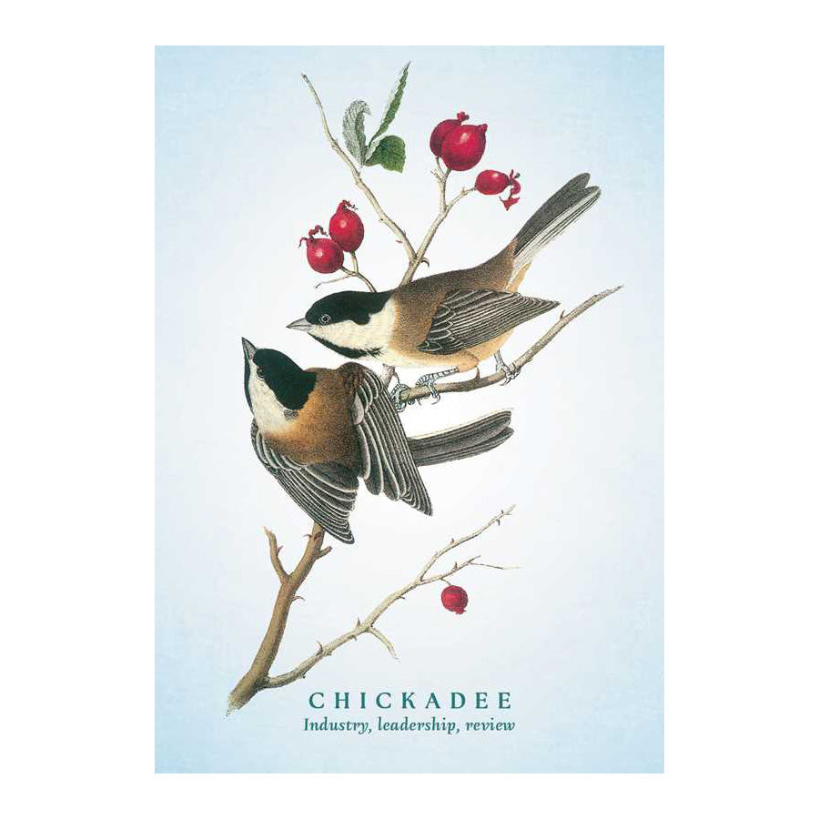 Spiritual Meaning of Birds Oracle Deck