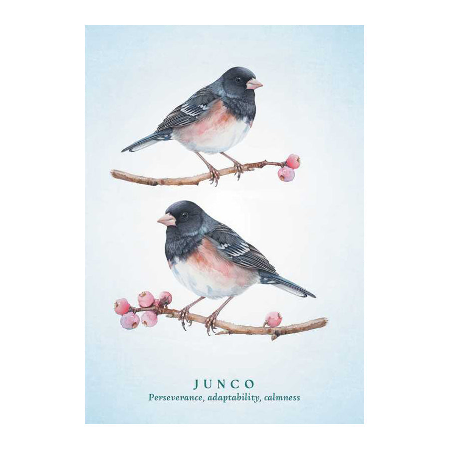 Spiritual Meaning of Birds Oracle Deck