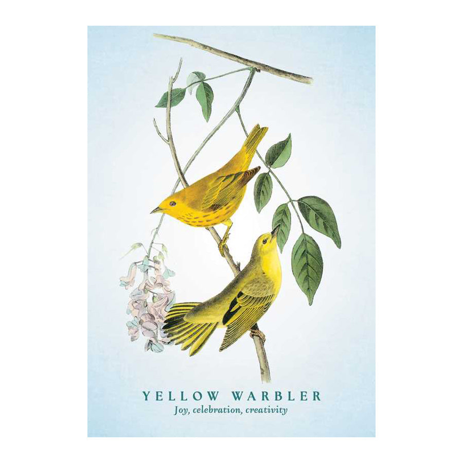 Spiritual Meaning of Birds Oracle Deck
