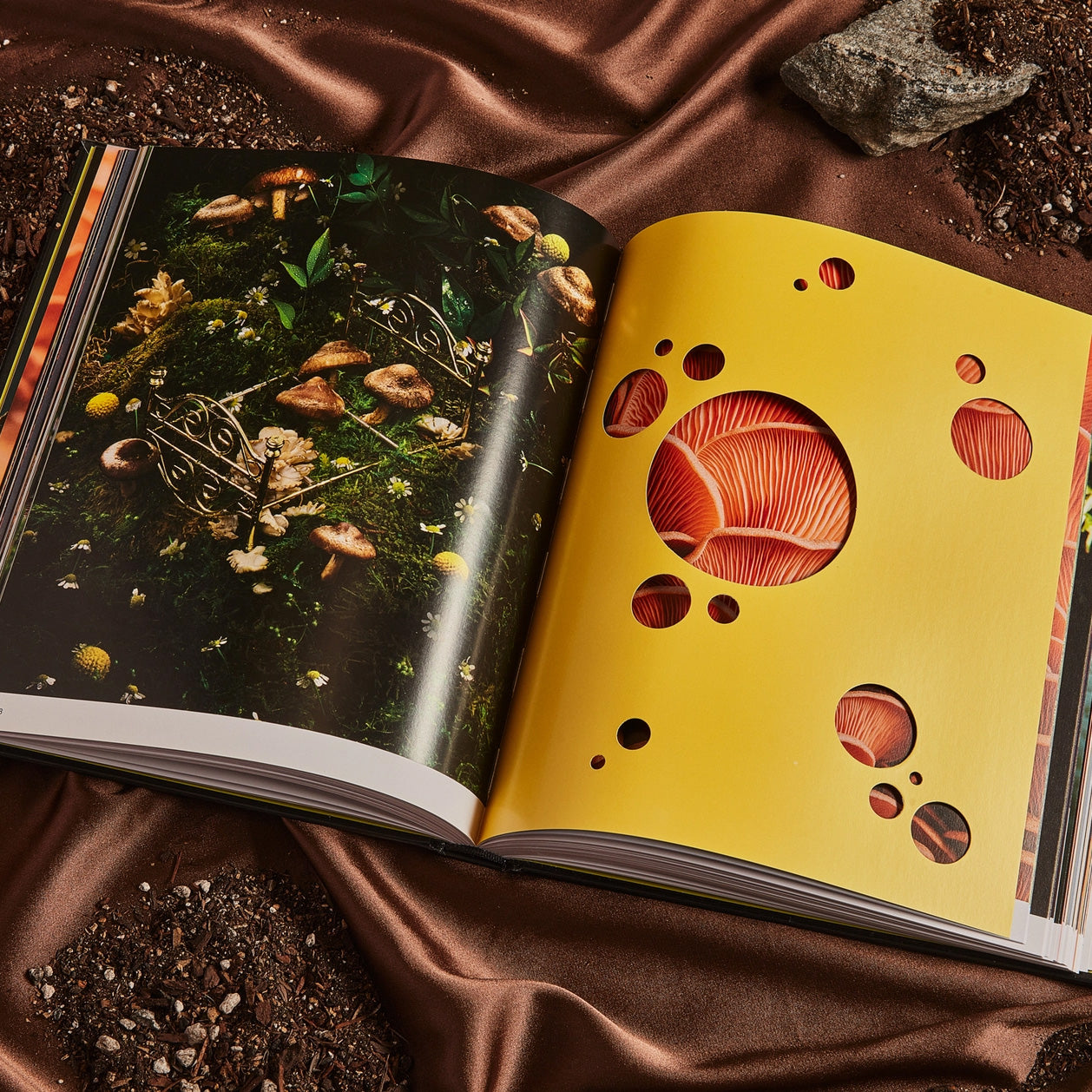 Spores: Magical Mushroom Photography