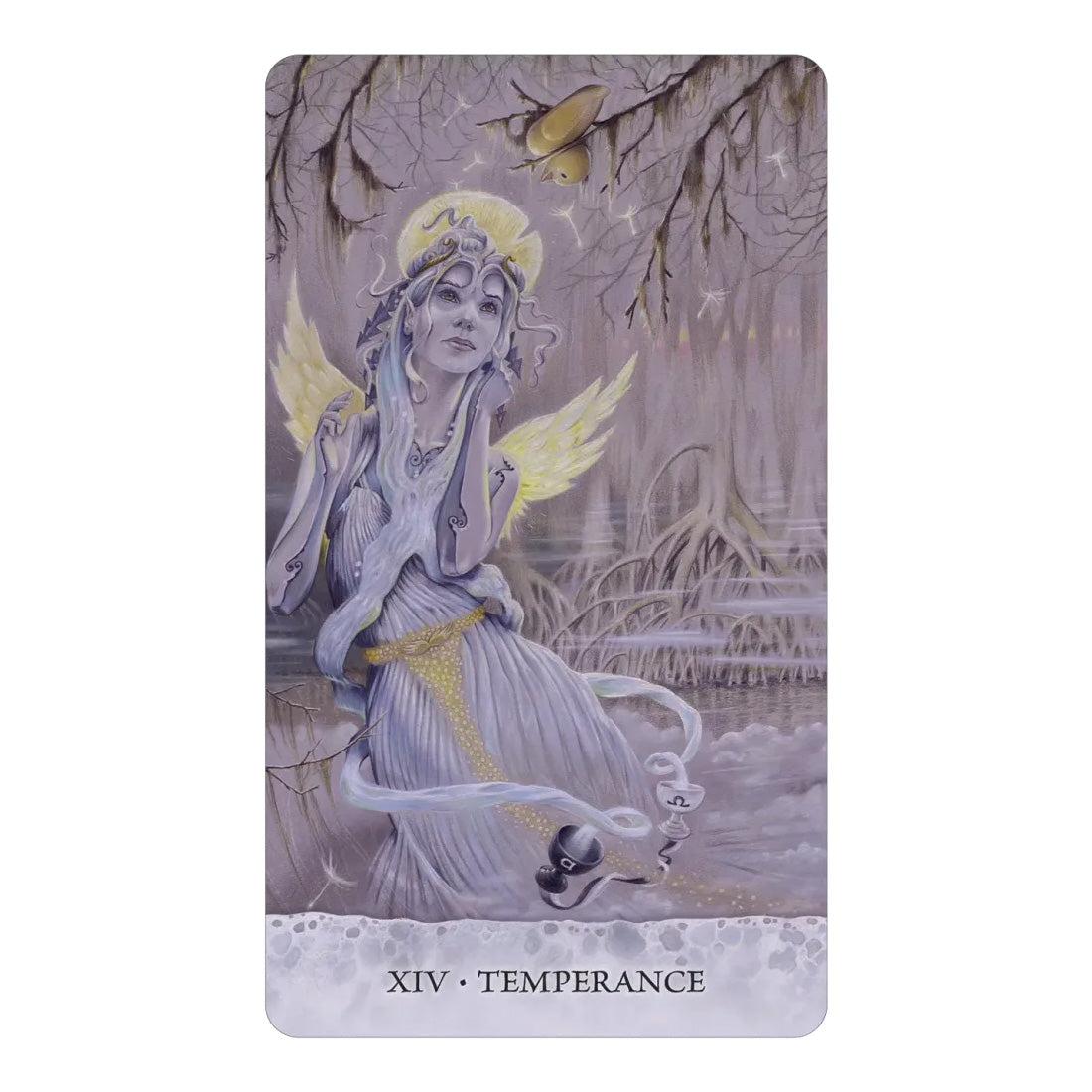 Tarot of Tides: The Adventures of a Duck Named Bob