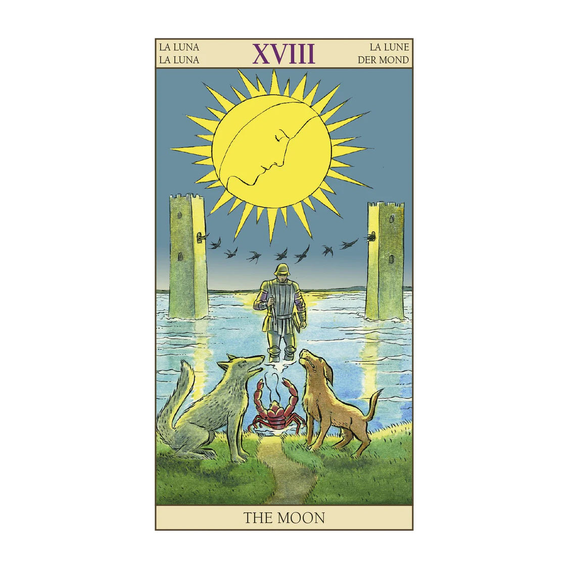 Tarot of the New Vision Deck