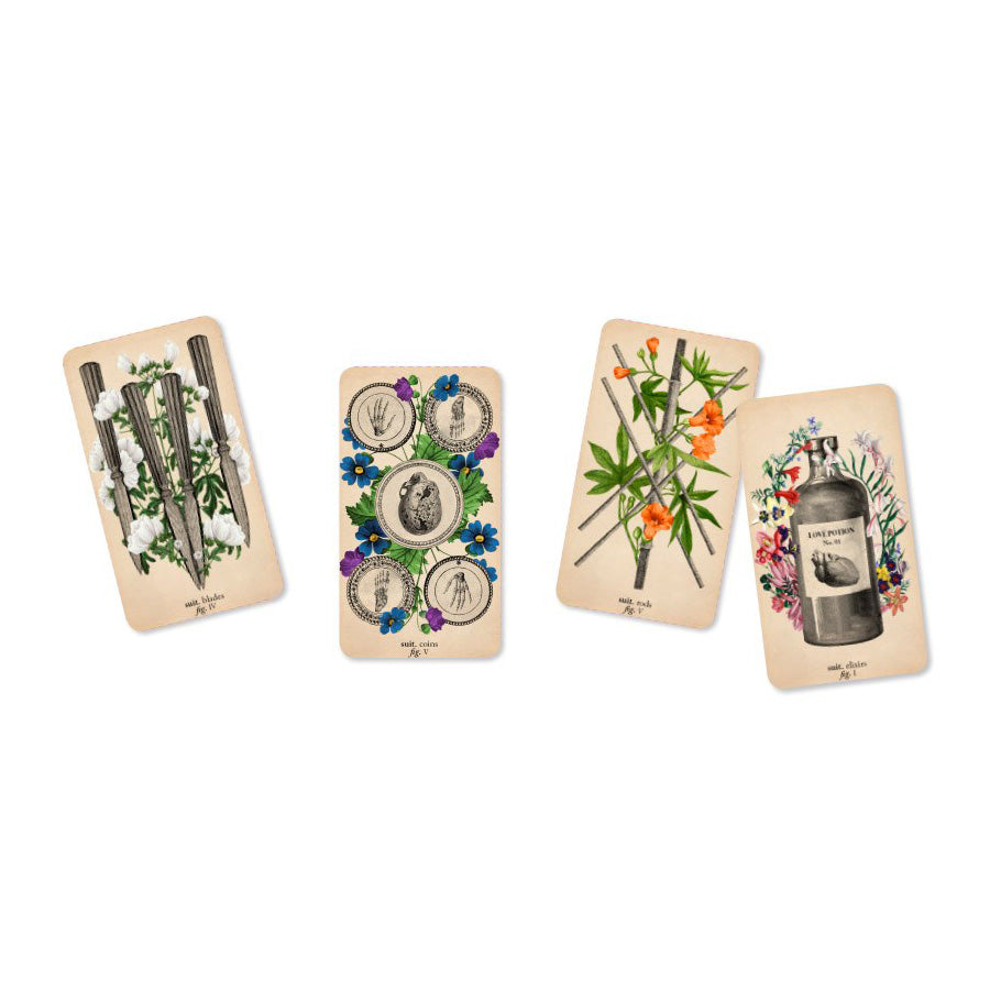 The Antique Anatomy Tarot
