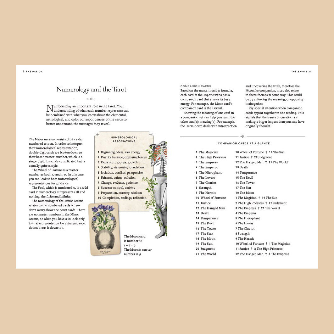 The Antique Anatomy Tarot