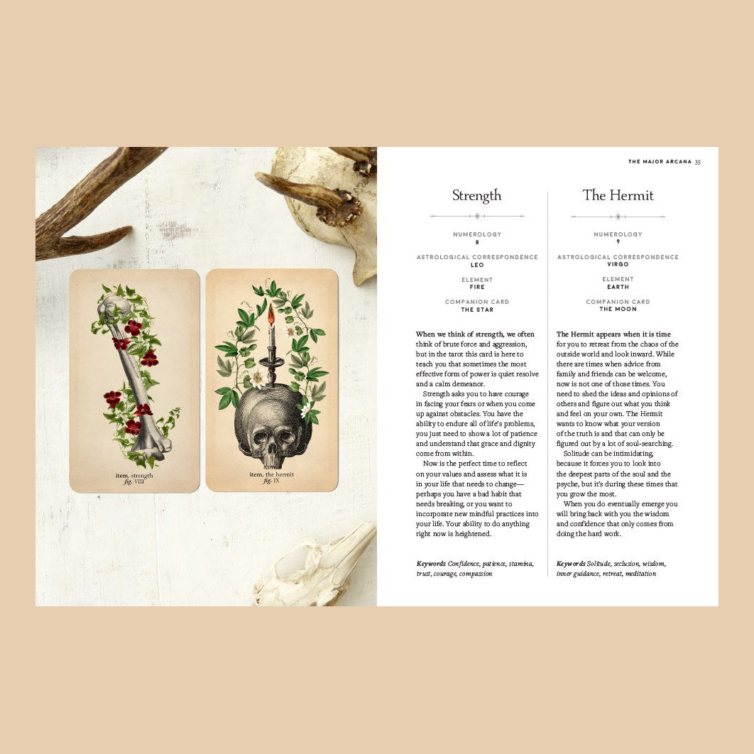 The Antique Anatomy Tarot