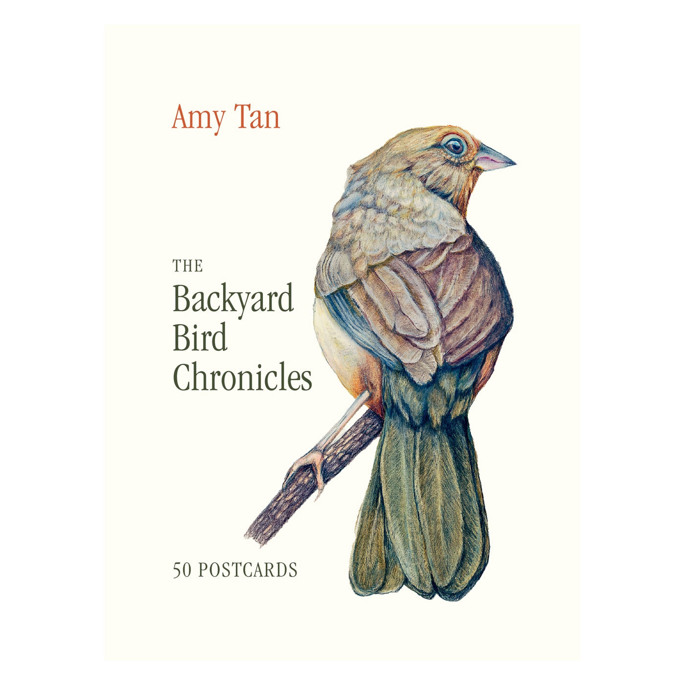 The Backyard Bird Chronicles: 50 Postcards