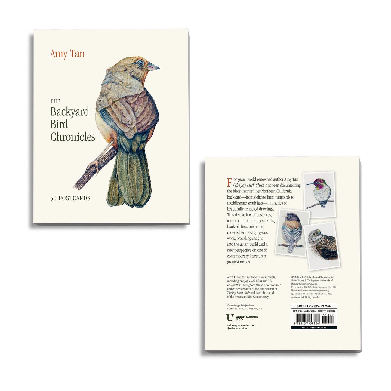 The Backyard Bird Chronicles: 50 Postcards