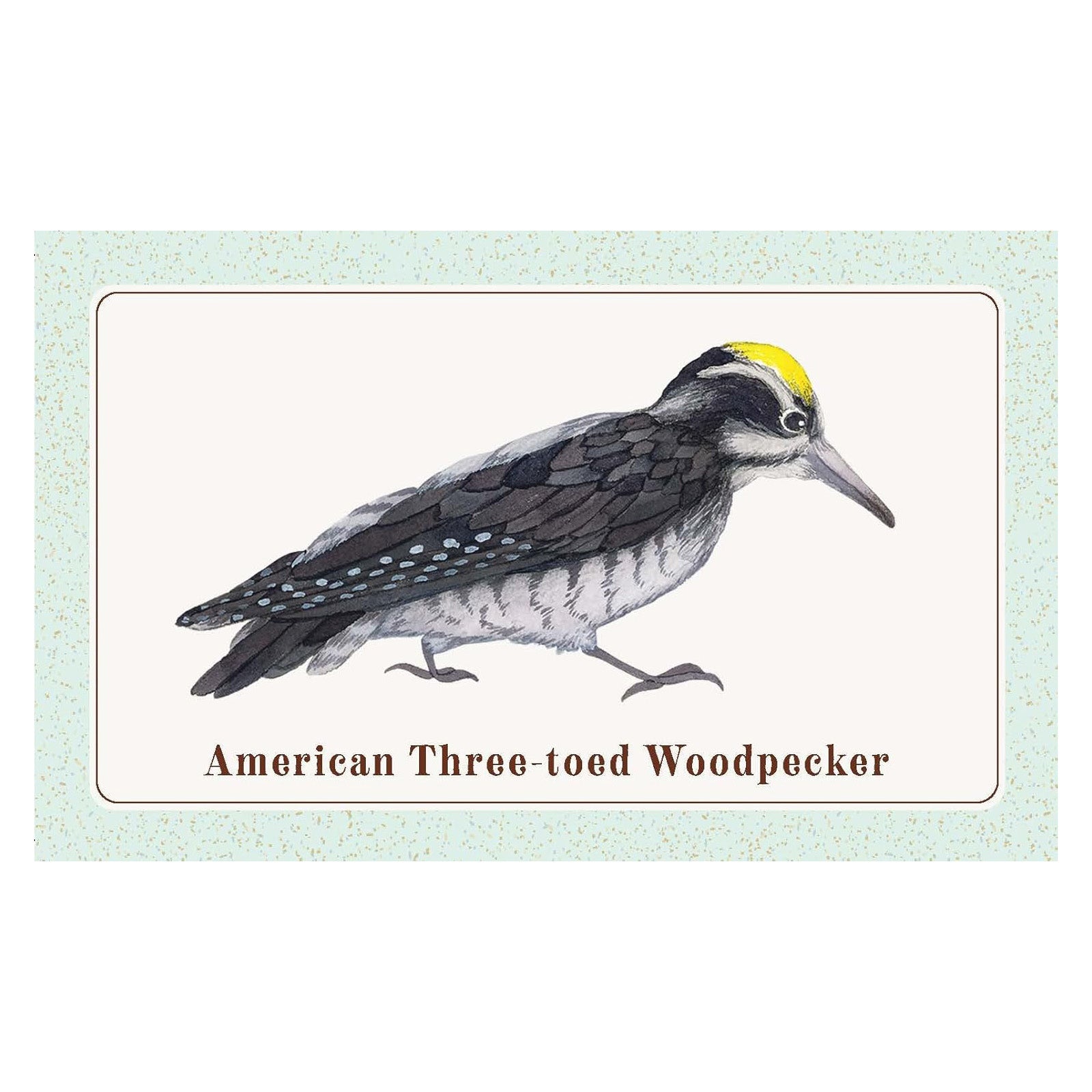 The Beginner Birder's Deck