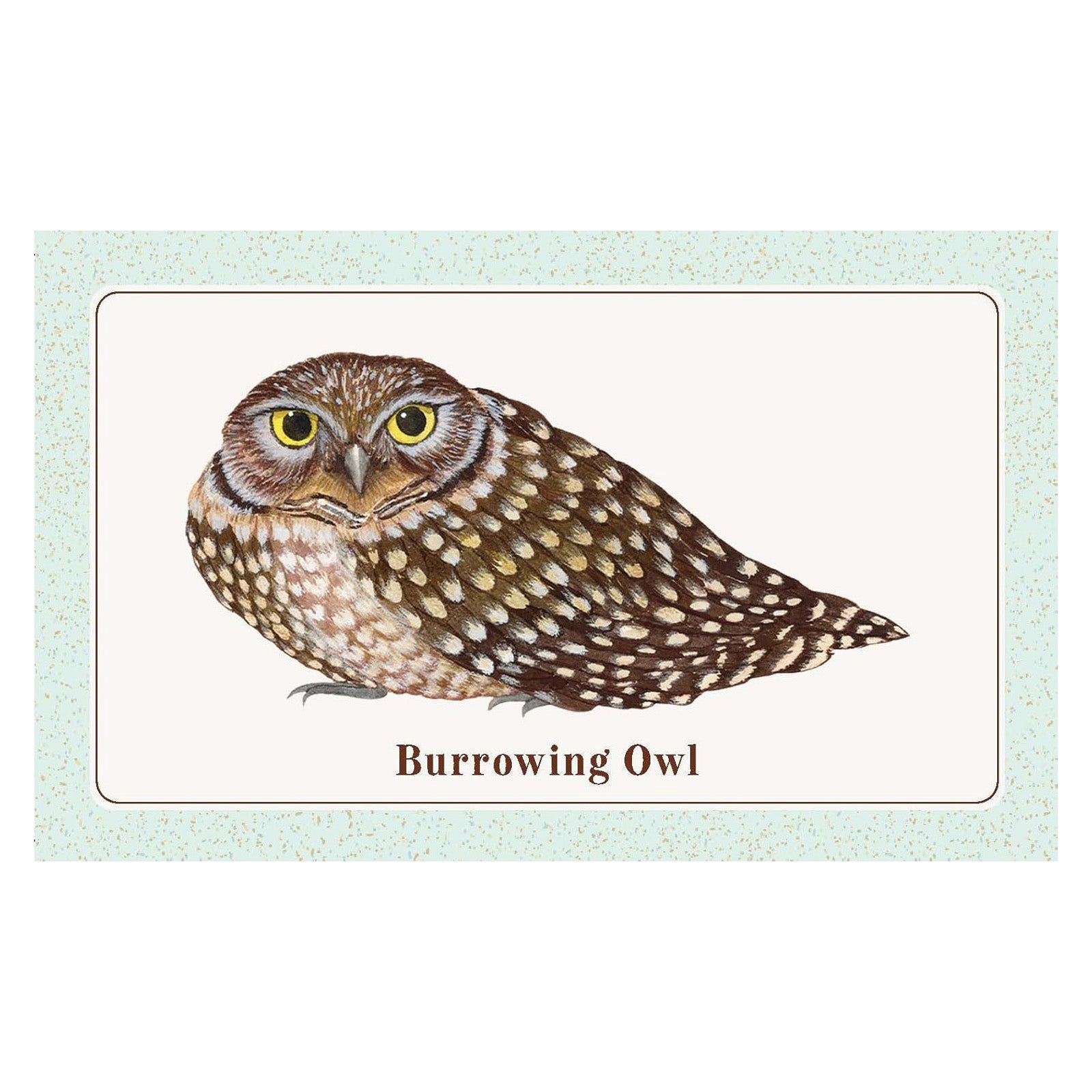 The Beginner Birder's Deck