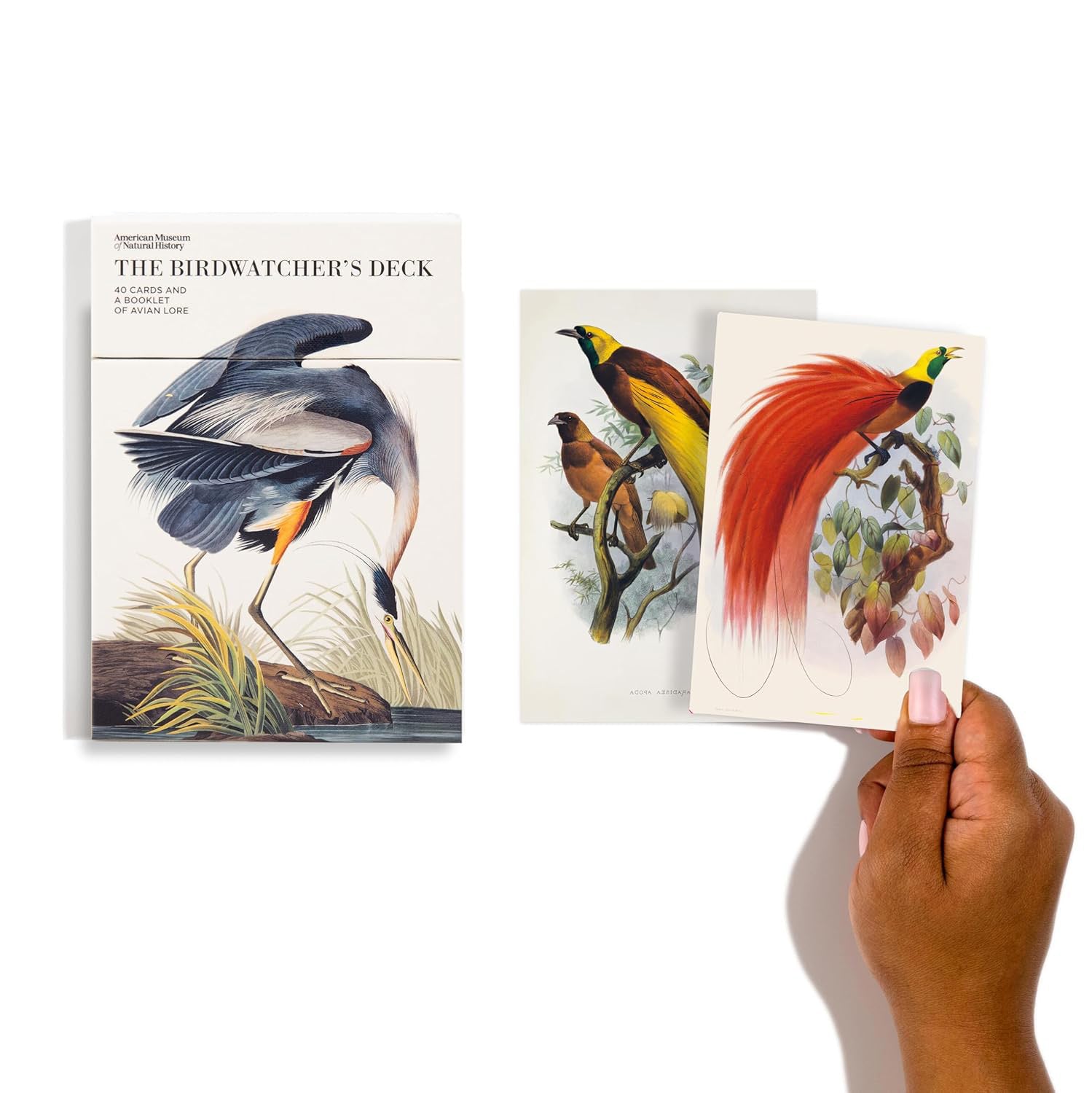 The Birdwatcher's Deck